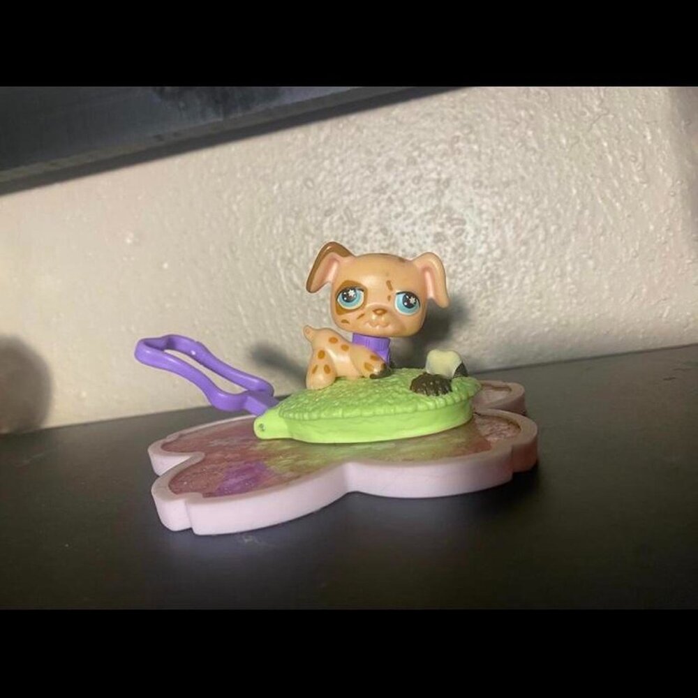 littlest pet shop🐶🦴🤍